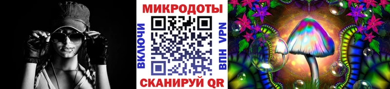 Галлюциногенные грибы Psilocybine cubensis Углич
