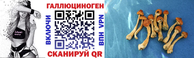 мега зеркало  Углич  Галлюциногенные грибы мухоморы 