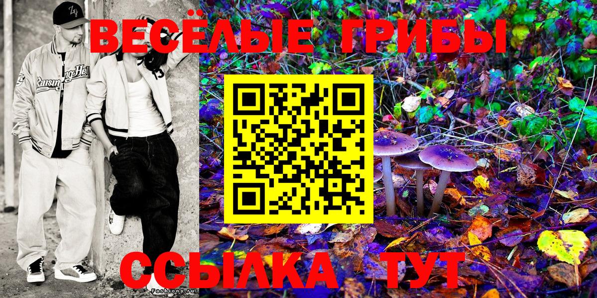купить наркотики сайты  Вход с VPN  Галлюциногенные грибы Cubensis  Углич  Псилоцибиновые грибы MAGIC MUSHROOMS 