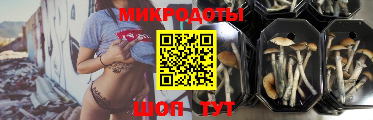 Галлюциногенные грибы мицелий Углич